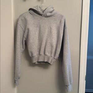 Aritzia Cozy Sweatfleece Perfect Cropped Hoodie